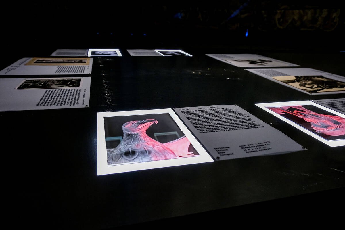 Ausstellung Fotos Dommuseum, Ausstellung Fotos Dommuseum